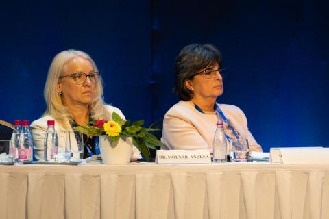 XXXV. Szakmai program